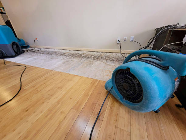 Professional Emergency Water Damage technician working in Northfield, NJ